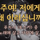 Vissi D'arte, Vissi d'amore (예술에 살고, 사랑에 살고) 이미지