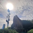 신안운수(주) | 목포 유달산, 신안군 우이도에서의 행복한 시간