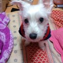 자양초등학교 이미지