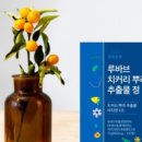 건우상점 이미지