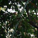 비산공원 이미지