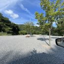 대야산 오토 캠핑장 이미지