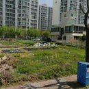 매화공인중개사사무소 이미지