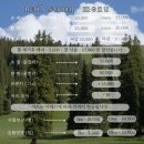 네일슘 | [내돈내산] 노형동 네일샵, 네일슘에서 자석네일 2번한 후기