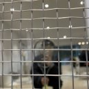 충주 테니스 레슨 테니스 데이즈 퍼플점 한달 후기