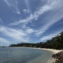 PT GROUND | [Sydney/Pt.4] 시드니 8일차: 포트스테판 투어 | 돌고래 크루즈, 4WD 모래썰매, 오크베일 동물원