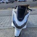 pcx21년 크루심300 20년 데이스타125 17년 완료 이미지