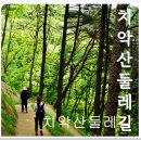 치악산(원주)둘레길6-7코스답사 이미지