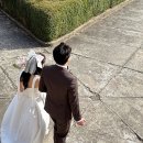 영호빌딩 | W 09. 웨딩스냅촬영준비 : 셀프웨딩드레스 이본느