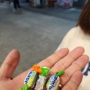 오서296 | 부산 동대신동 서대신동 술자리 목구멍 삼겹살맛집 가족저녁식사자리 지인모임자리 솔직후기 진짜 좋아요