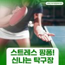 탁구(취미과정 / 주간) | 인천 탁구 클럽에서 레슨 기초부터 탄탄히