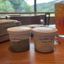 사림동153 | 스타벅스 신메뉴 아이스크림 피스타치오 젤라또 요거트 젤라또 솔직 후기 /창원중앙역점