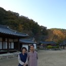 정영숙 카카오 검색결과