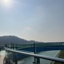 파인트리하우스 이미지