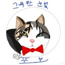 그윽한 눈빛 길냥 포보(+길냥이 대화) 이미지