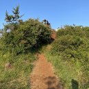 상예2동 버스정류장 단일로 | 군산오름 / 서귀포 오름 주차 진지동굴 탐방