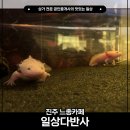 진주 느좋카페 일상다반사, 힙한 분위기 풀충전 하고 온 후기
