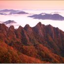 양명 경로당 이미지