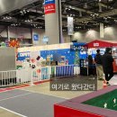 키즈월드 네이버블로그