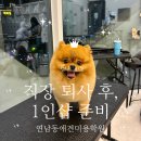 모두펫그룹 - 김해시 내외중앙로 137 | 연남동 애견미용학원 샵마스터 창업, 직장을 그만두고 1인샵을 목표로 시작한 후기