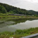 비들지낚시터 이미지