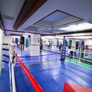 홍수환 JR복싱 이미지