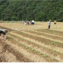 친환경우리농장 이미지