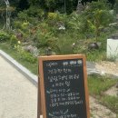 광주 두암동 맛집 맛있는 비건메뉴들이 가득한 살림프리미엄 채식뷔페