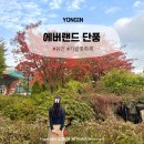 (주)꽃랜드 | 에버랜드 단풍 가을꽃축제 시기, 명소 공유