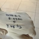 또또방