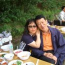 죽도회