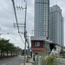 덕진-125 이미지