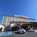 부산조선호텔 노동조합 | 웨스틴조선 부산 까밀리아 주말런치 후기