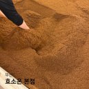 보송목욕탕 | 부산효소찜질 초읍 효소온 본점 찜질방 후기