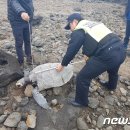 강정동-77 이미지