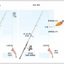 한치낚시가 처음인 회원님들을 위한 준비물 - 2. 낚시 채비 이미지