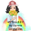 매탄갤러리공인중개사사무소 이미지