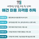 꿈의 애견미용 이미지