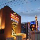 라스베가스서 베팅 체험~Visit Las Vegas, Nevada, USA~3 이미지