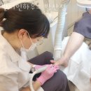 반디인하우스 발산점