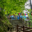 부소산성 고란사 화장실 이미지