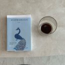 더스마일 독채 풀빌라 | 제주 독채 풀빌라 후기 ✨ 이오 (eo) 솔직 리뷰 (가족 숙소 추천)