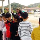 화양초등학교 이미지