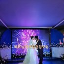 총각농장 이미지