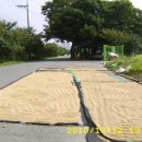 방산2리 마을회관 이미지