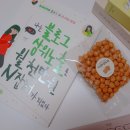 젤라정 이미지