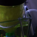 쉬림프홀릭 이미지