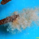 부들공원 이미지