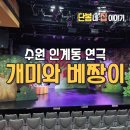 [수원 아이와 가볼만한 곳] KBS수원아트홀 어린이 뮤지컬 '개미와 베짱이' 관람 후기