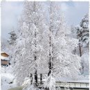 배틀민박 이미지